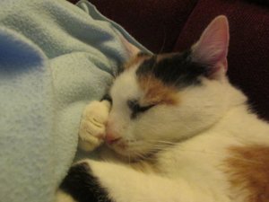 img_3493